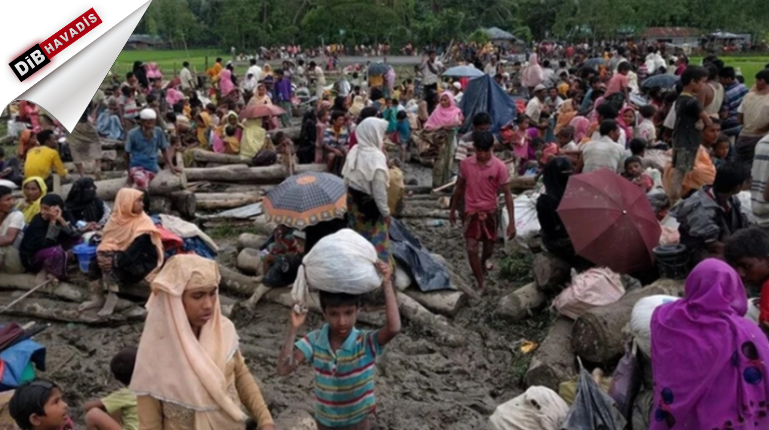Arakanlı Müslümanlar, Myanmar'daki çatışmalar nedeniyle Bangladeş sınırına sığınıyor